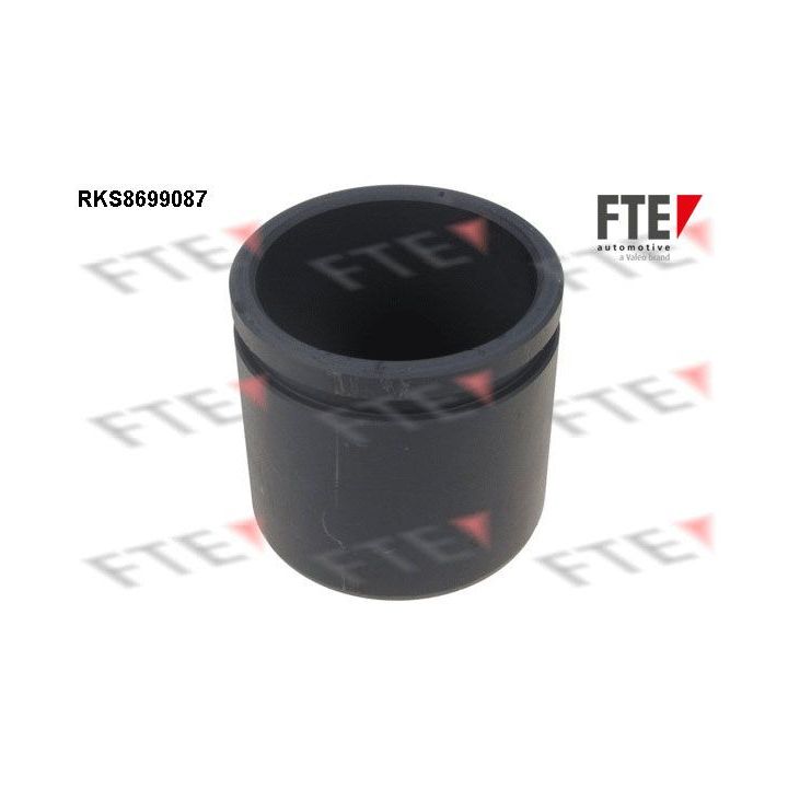 Stūmoklis, stabdžių apkaba FTE 9313524