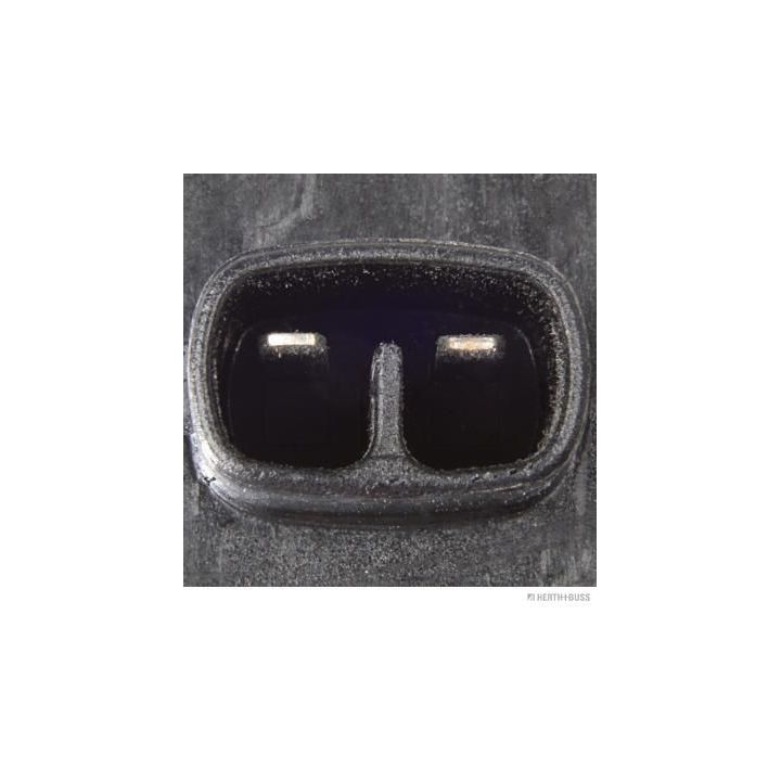 Ritė, uždegimas HERTH+BUSS JAKOPARTS J5370305