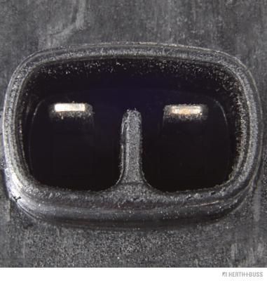 Ritė, uždegimas HERTH+BUSS JAKOPARTS J5370305