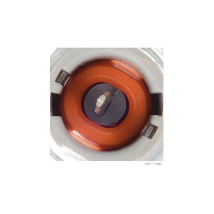 Alyvos slėgio jungiklis HERTH+BUSS JAKOPARTS J5611018