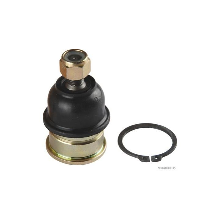 Šarnyras / girgždukas HERTH+BUSS JAKOPARTS J4860306