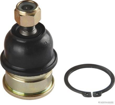 Šarnyras / girgždukas HERTH+BUSS JAKOPARTS J4860306