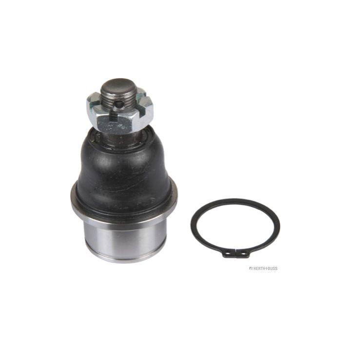 Šarnyras / girgždukas HERTH+BUSS JAKOPARTS J4860310