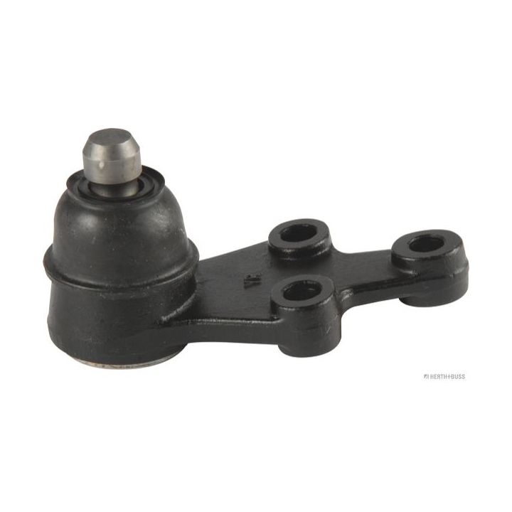 Šarnyras / girgždukas HERTH+BUSS JAKOPARTS J4860314
