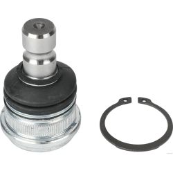 Šarnyras / girgždukas HERTH+BUSS JAKOPARTS J4860328