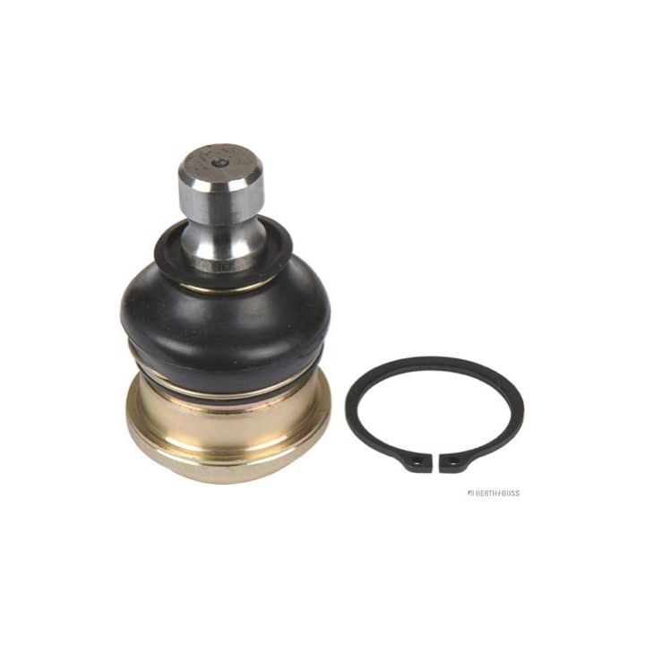 Šarnyras / girgždukas HERTH+BUSS JAKOPARTS J4860511