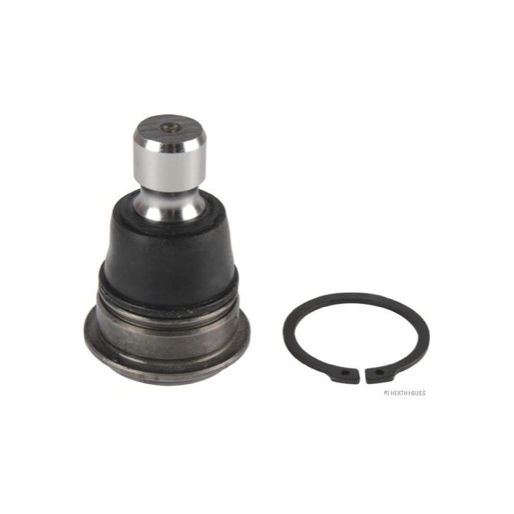 Šarnyras / girgždukas HERTH+BUSS JAKOPARTS J4861043