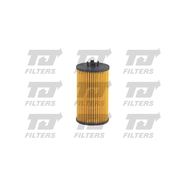 Alyvos filtras QUINTON HAZELL QFL0256