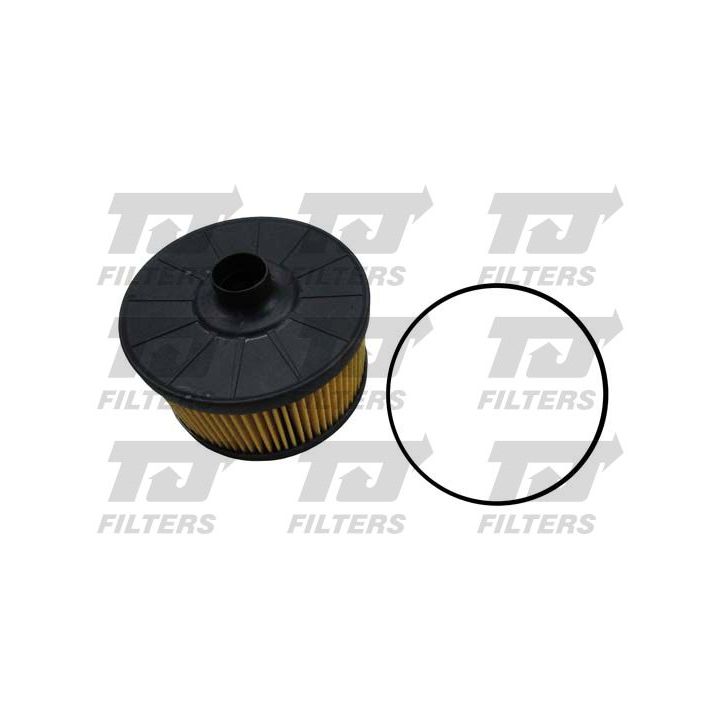 Alyvos filtras QUINTON HAZELL QFL0311