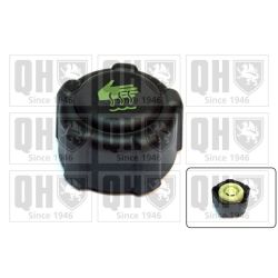 Dangtelis, radiatorius QUINTON HAZELL FC516