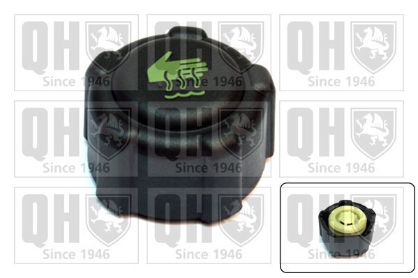 Dangtelis, radiatorius QUINTON HAZELL FC516