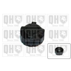 Dangtelis, radiatorius QUINTON HAZELL FC517