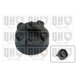 Dangtelis, radiatorius QUINTON HAZELL FC518