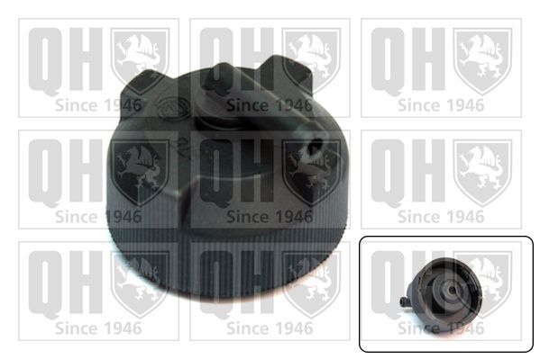 Dangtelis, radiatorius QUINTON HAZELL FC518