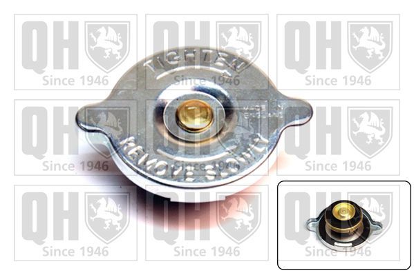 Dangtelis, radiatorius QUINTON HAZELL FC52