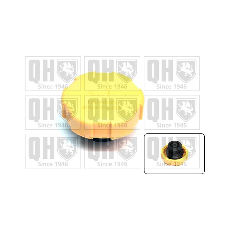 Dangtelis, radiatorius QUINTON HAZELL FC525