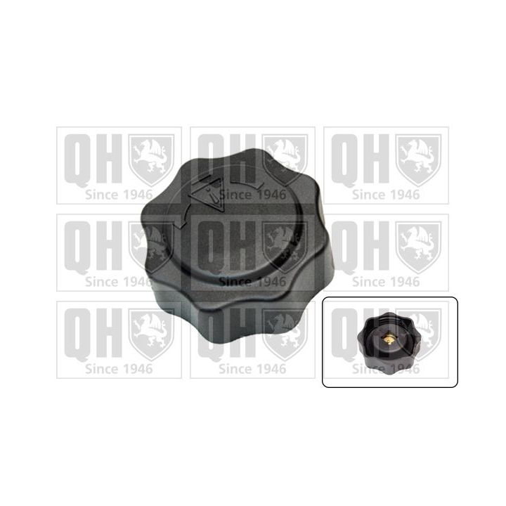 Dangtelis, radiatorius QUINTON HAZELL FC536