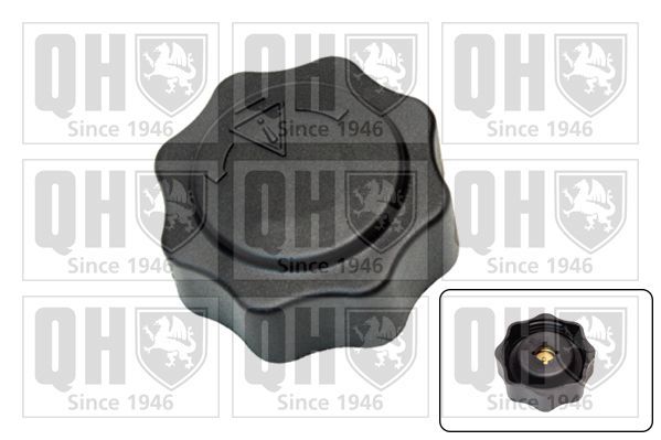 Dangtelis, radiatorius QUINTON HAZELL FC536