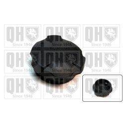 Dangtelis, radiatorius QUINTON HAZELL FC545