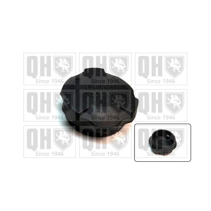 Dangtelis, radiatorius QUINTON HAZELL FC545