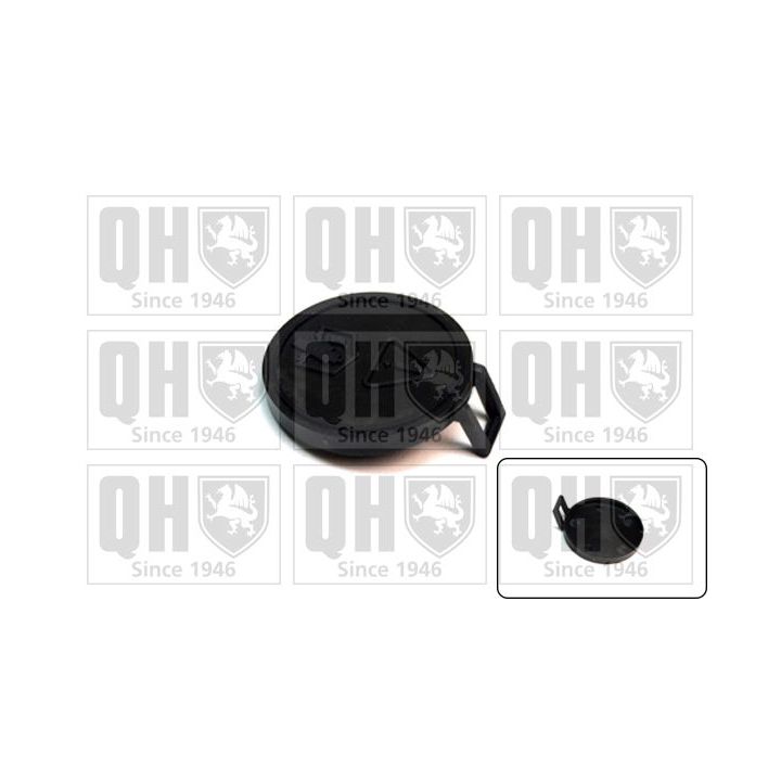 Dangtelis, radiatorius QUINTON HAZELL FC546