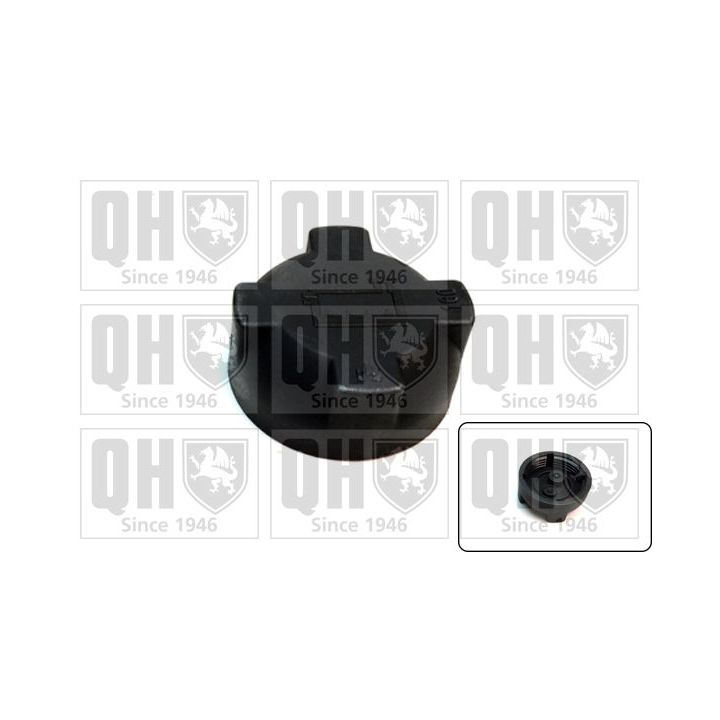 Dangtelis, radiatorius QUINTON HAZELL FC553