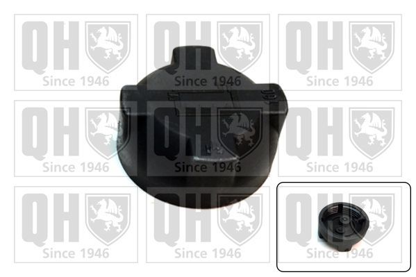 Dangtelis, radiatorius QUINTON HAZELL FC553