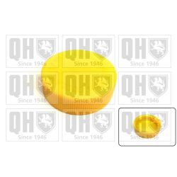 Dangtelis, radiatorius QUINTON HAZELL FC556