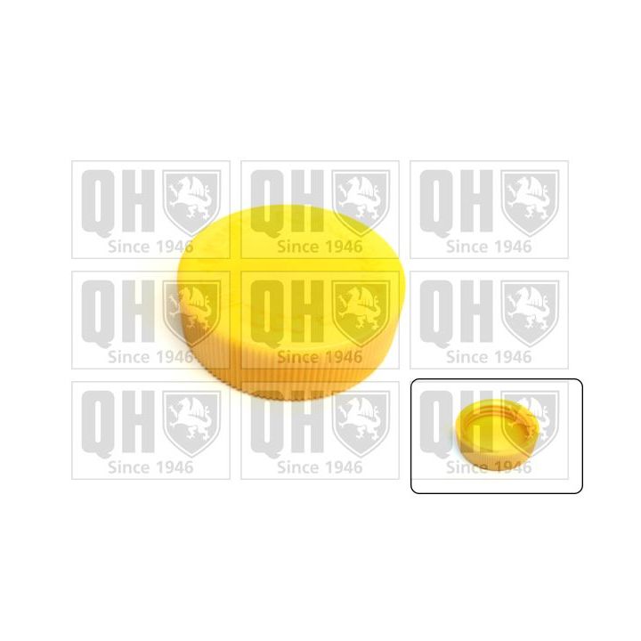 Dangtelis, radiatorius QUINTON HAZELL FC556