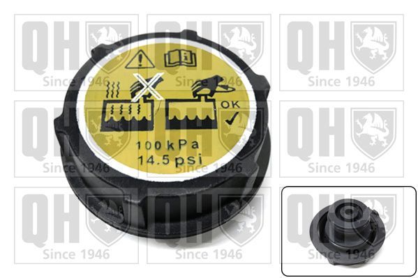 Dangtelis, radiatorius QUINTON HAZELL FC558