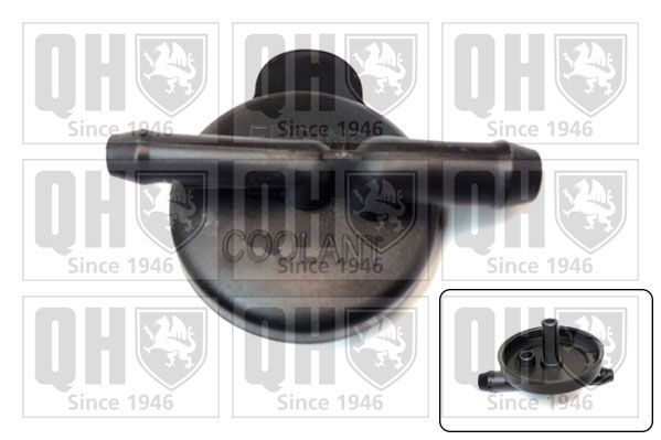 Dangtelis, radiatorius QUINTON HAZELL FC564