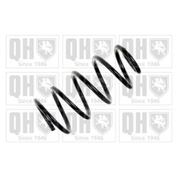 Spyruoklė QUINTON HAZELL QCS5059