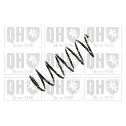 Spyruoklė QUINTON HAZELL QCS5081