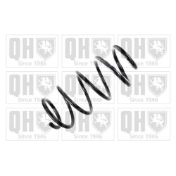 Spyruoklė QUINTON HAZELL QCS5309