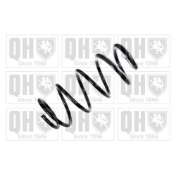 Spyruoklė QUINTON HAZELL QCS5496