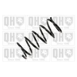 Spyruoklė QUINTON HAZELL QCS5768