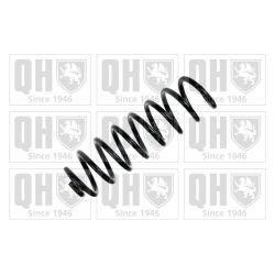 Spyruoklė QUINTON HAZELL QCS5835