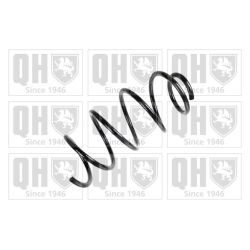 Spyruoklė QUINTON HAZELL QCS5884