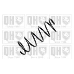 Spyruoklė QUINTON HAZELL QCS6101