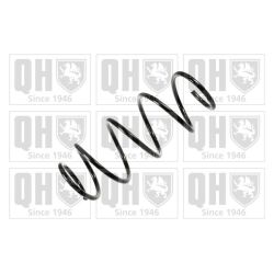 Spyruoklė QUINTON HAZELL QCS6219