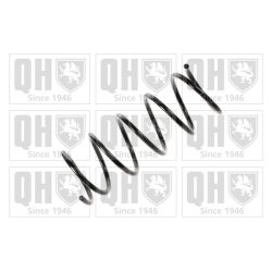 Spyruoklė QUINTON HAZELL QCS6263