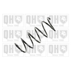 Spyruoklė QUINTON HAZELL QCS6278