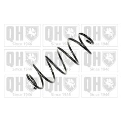 Spyruoklė QUINTON HAZELL QCS6326