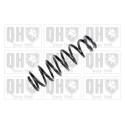 Spyruoklė QUINTON HAZELL QCS6405