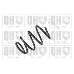 Spyruoklė QUINTON HAZELL QCS6431