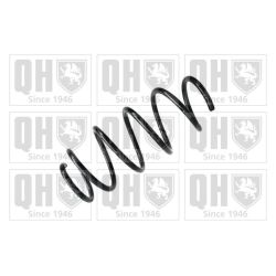 Spyruoklė QUINTON HAZELL QCS6434