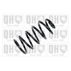 Spyruoklė QUINTON HAZELL QCS6477