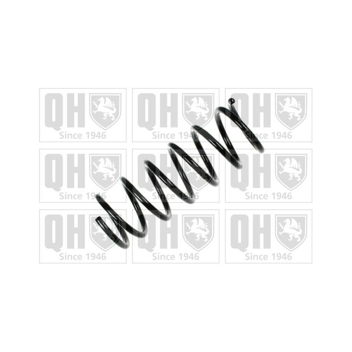 Spyruoklė QUINTON HAZELL QCS6481