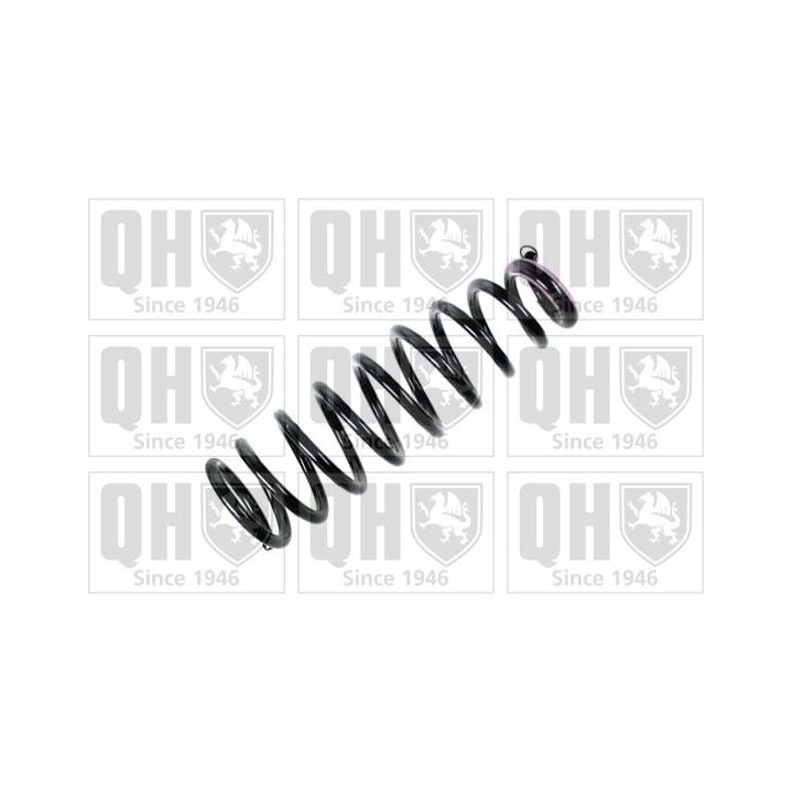 Spyruoklė QUINTON HAZELL QCS6622