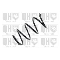 Spyruoklė QUINTON HAZELL QCS6650